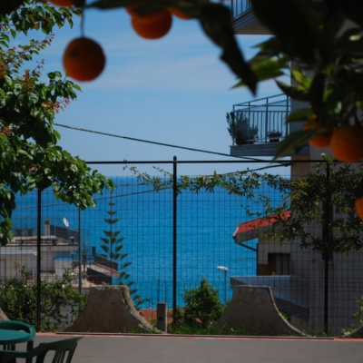 evergreen_giardino3